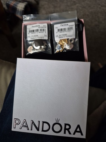 Pandora charms bundle - bundle, comes