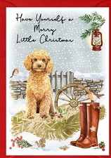 Poodle (Apricot) Dog A6 (4"x