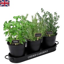 Elegant Metal Herb Planter Set