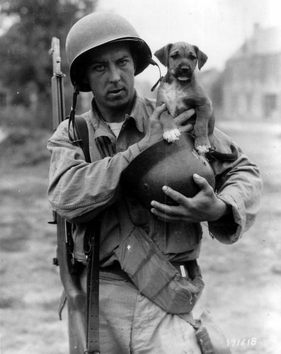 American infantryman holding - american,