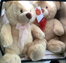 Two twin love to hug - ,