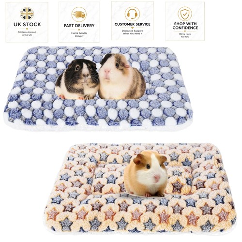 Pack plush guinea pig - 2-pack,