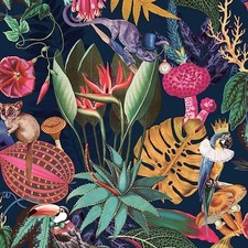 JUNGLE TROPICAL BIRDS