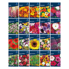 Flower Seeds Garden Treasures Flowering Variety Garden Plant Grow Free Uk P&P