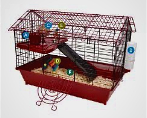 Guinea pig cage - pig,