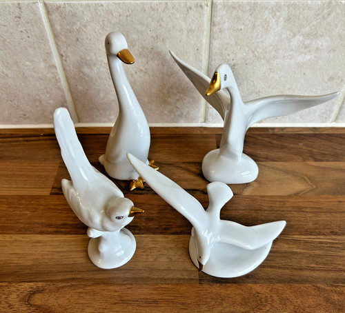 Job lot hollohaza bird - job,