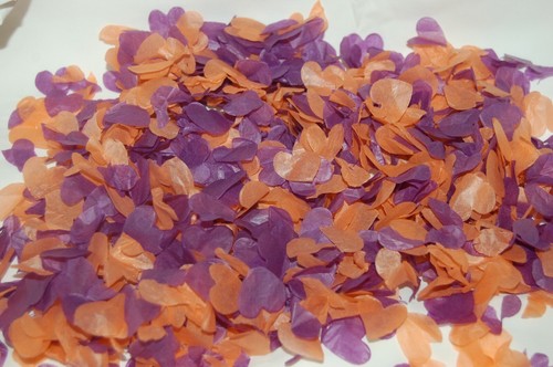 Biodegradable confetti - biodegradable,