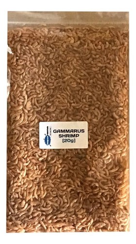 Gammarus shrimp dried tropical - gammarus,