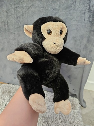 Full bodied chimpanzee - full,
