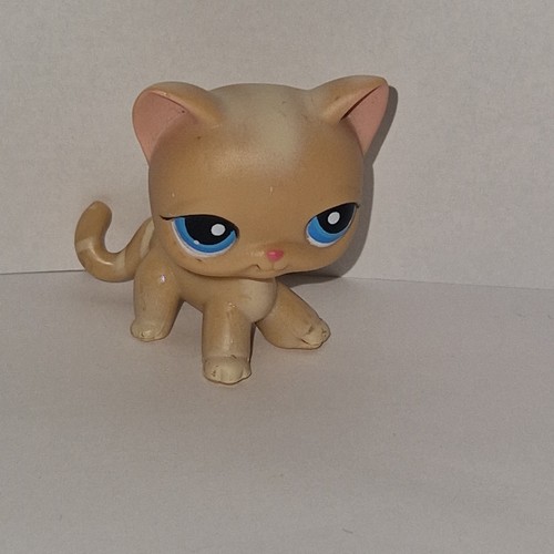 Littlest pet shop shorthair - pet,