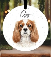 Cavalier King Charles Spaniel