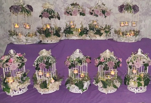 White vintage bird cage - vintage,