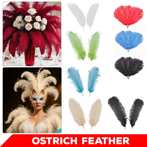 Solid colour ostrich feathers - colour,
