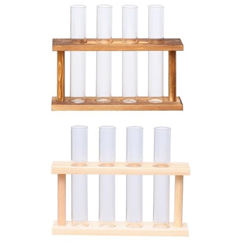Glass test tube plant - test,