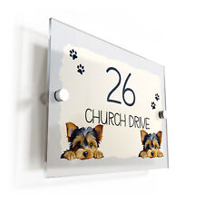 Yorkshire Terrier Dog Puppy