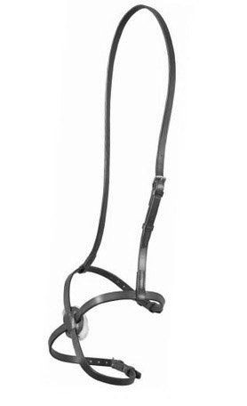 Jeffries falcon grackle - jeffries,