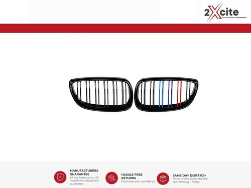 Kidney grills for bmw series - 3,