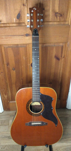 Vintage eko italian - vintage, acoustic