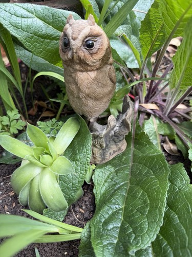 Vintage teviotdale owl - vintage,