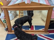 Vintage Waxed Pine Overmantle Mirror Bevelled Edge Oxted Surrey Ready To Hang