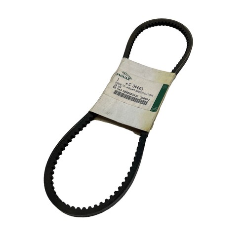 Genuine jaguar type - genuine,