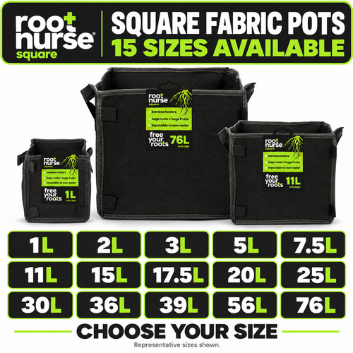 Square fabric plant - fabric,