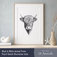 Black & White Wild Animal