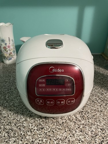 Well functioning rice cooker - functioning,