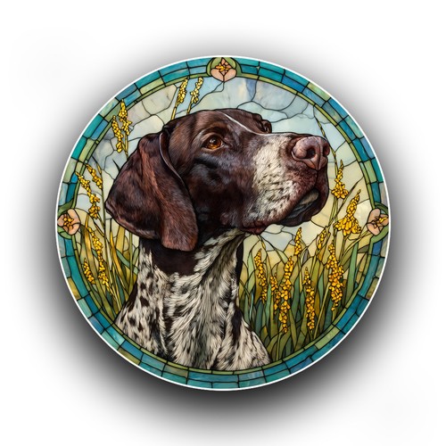 German shorthaired pointer - pointer, dog