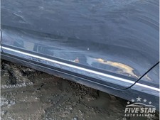 VW Passat Rear Door Molding