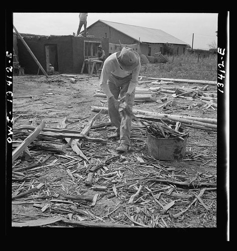 Photo 1930s farm laborer - farm,