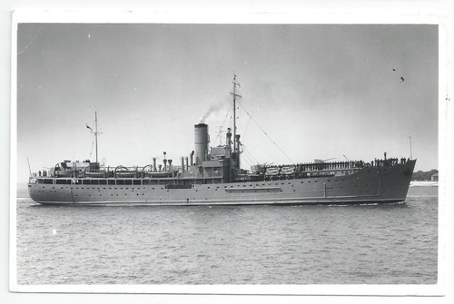 Orp gryf training - gryf, /