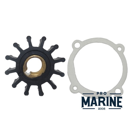 Raw sea water pump repair - raw,