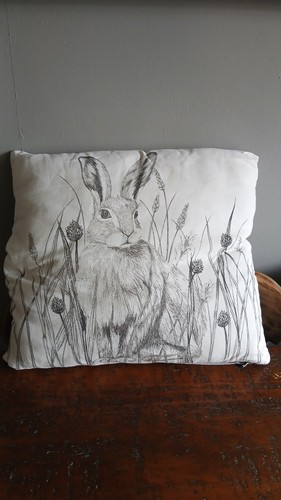 Autumn bunny rabbit hare - autumn,