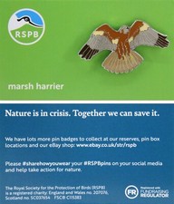 RSPB Pin Badge NIIC Marsh Harrier P02981