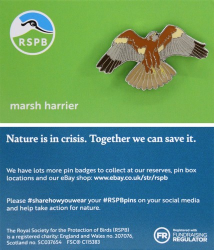 Rspb pin badge niic marsh - pin,