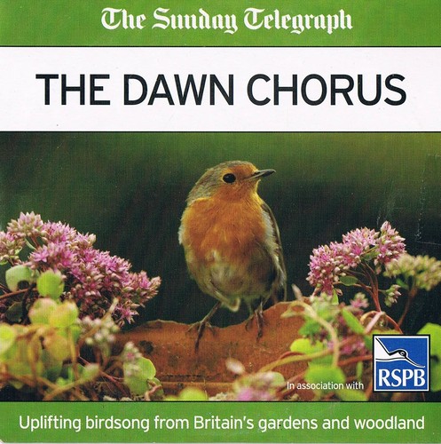 The dawn chorus - chorus,