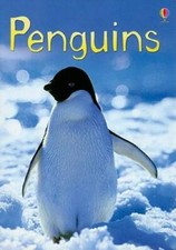Penguins (Usborne Beginners) -