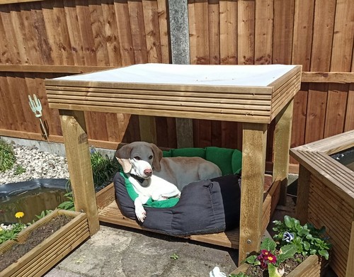 Pet pagoda showerproof sun - pagoda,