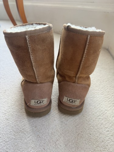 Ugg classic short - classic,