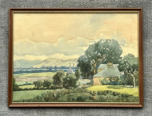 Olive higginbottom signed - olive,