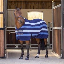 Shires tempest original - shires,