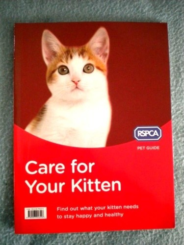 Care for your kitten - your, rspca