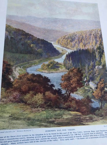 1924 photo art symond yat - photo,