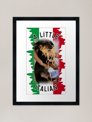 Little italian doxie dog - italian,