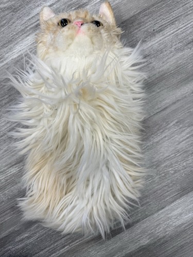 Realistic shaggy cat golf club - cat,