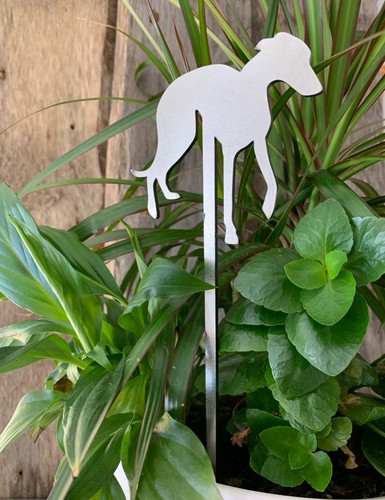 Greyhound dog breed plant pot - breed,
