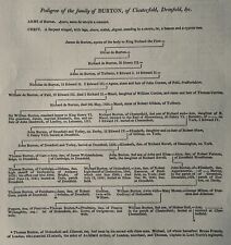 Chesterfield, Dronfield BURTON FAMILY TREE Genealogical Table c1831 Print