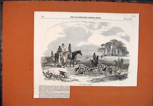 Original old antique print - antique,