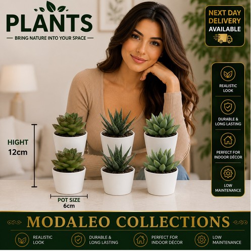 Artificial plants 505 197 64 - 6,
